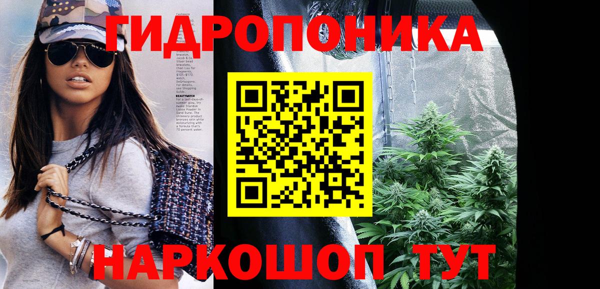 Марихуана гибрид  Вход с VPN  МАРИХУАНА план  Каннабис Bruce Banner  Бошки марихуана конопля  Тайшет 
